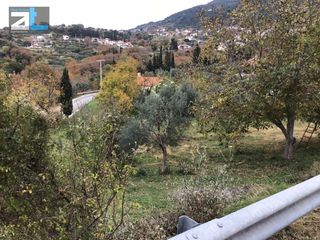 Οικόπεδο 956 τ.μ. προς πώληση, Άνω Καστρίτσι-thumb-10