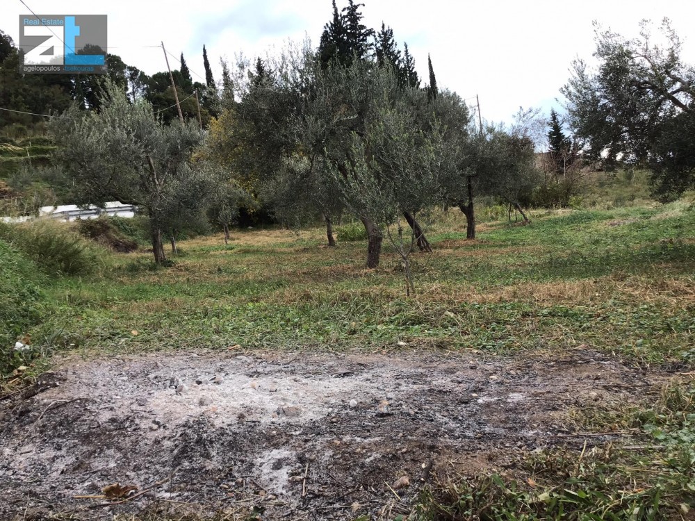 Οικόπεδο 956 τ.μ. προς πώληση, Άνω Καστρίτσι