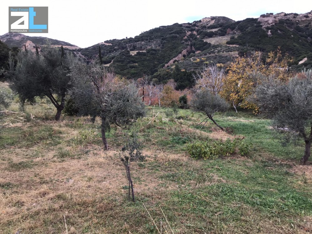 Οικόπεδο 956 τ.μ. προς πώληση, Άνω Καστρίτσι