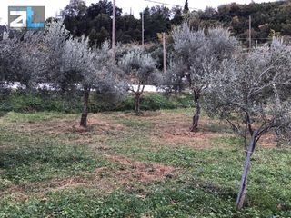 Οικόπεδο 956 τ.μ. προς πώληση, Άνω Καστρίτσι-thumb-9
