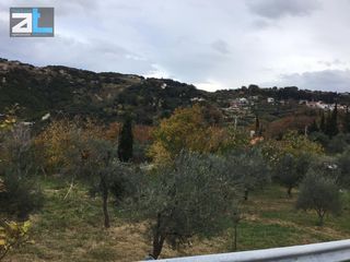 Οικόπεδο 956 τ.μ. για πώληση