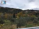 Land plot 956sqm for sale-Rio » Ano Kastritsi