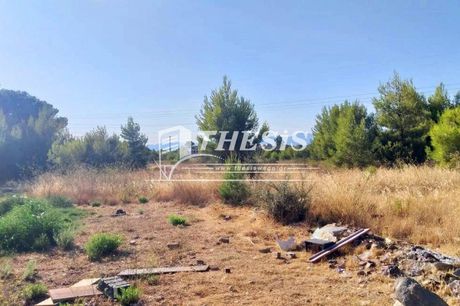 Land plot 7.000sqm for sale-Gerakas » Gargittos