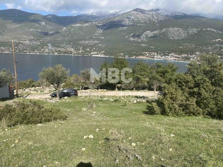 Οικόπεδο 500τ.μ. για πώληση-Βίλια » Πόρτο γερμενό
