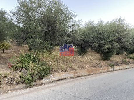 Αγροτεμάχια 2.150 τ.μ. για πώληση