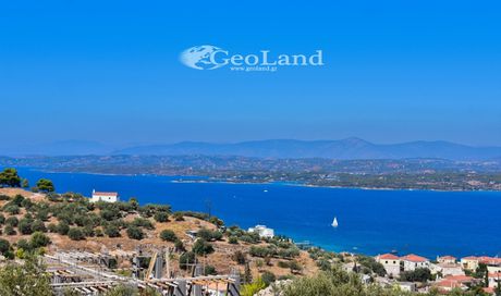 Αγροτεμάχια 29.077τ.μ. για πώληση-Σπέτσες » Κέντρο