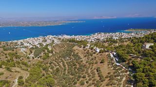 Αγροτεμάχια 29.077 τ.μ. για πώληση