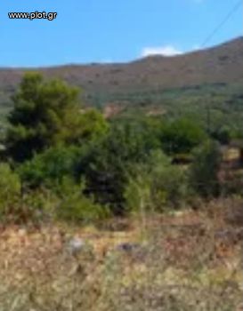 Οικόπεδο 37.300τ.μ. για πώληση-Σίφνος » Πλατύς γιαλός
