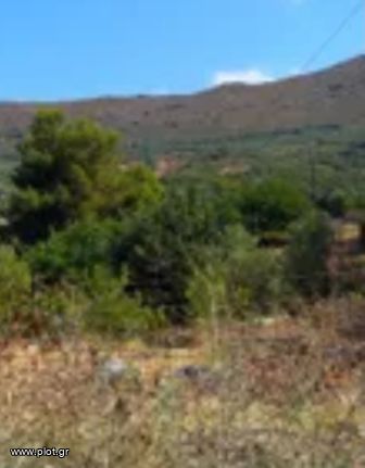 Land plot 37.300 sqm for sale, Cyclades, Sifnos