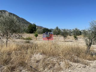 Αγροτεμάχια 10.100 τ.μ. για πώληση