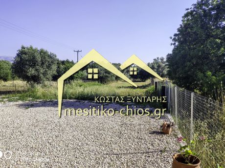 Οικόπεδο 732 τ.μ. για ενοικίαση