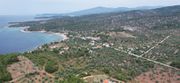 Parcel 2.556sqm for sale-Thasos » Astrida