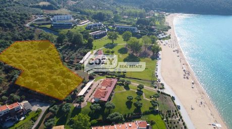 Αγροτεμάχια 8.500τ.μ. για πώληση-Σταγείρων - ακάνθου » Κουμίτσα