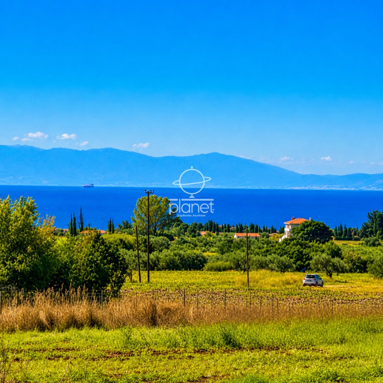 Αγροτεμάχια 5.825 τ.μ. προς πώληση, Κέντρο Επανομής