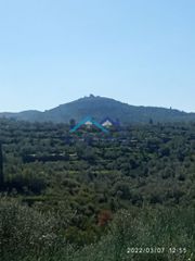 Μονοκατοικία 95 τ.μ. για πώληση, Μεσσηνία, Αβία-thumb-7
