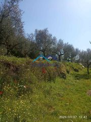 Μονοκατοικία 95 τ.μ. για πώληση, Μεσσηνία, Αβία-thumb-6