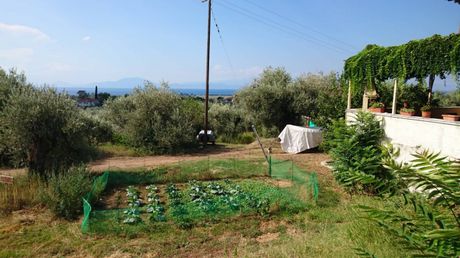 Οικόπεδο 1.100 τ.μ. για πώληση