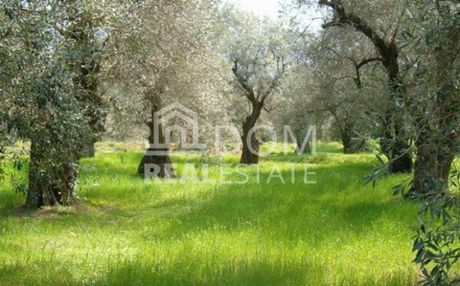 Αγροτεμάχια 2.000τ.μ. για πώληση-Άγιος κωνσταντίνος » Ακτή