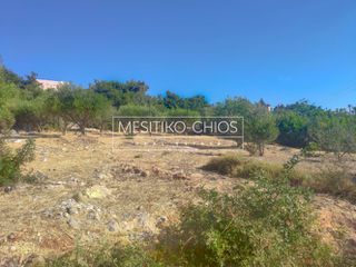 Οικόπεδο 1.018 τ.μ. για πώληση, Ν. Χίου, Χίος-thumb-2