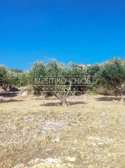Οικόπεδο 1.018 τ.μ. για πώληση, Ν. Χίου, Χίος-thumb-5