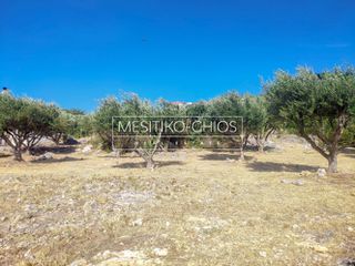 Οικόπεδο 1.018 τ.μ. για πώληση, Ν. Χίου, Χίος-thumb-19
