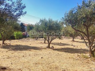 Οικόπεδο 1.018 τ.μ. για πώληση, Ν. Χίου, Χίος-thumb-17