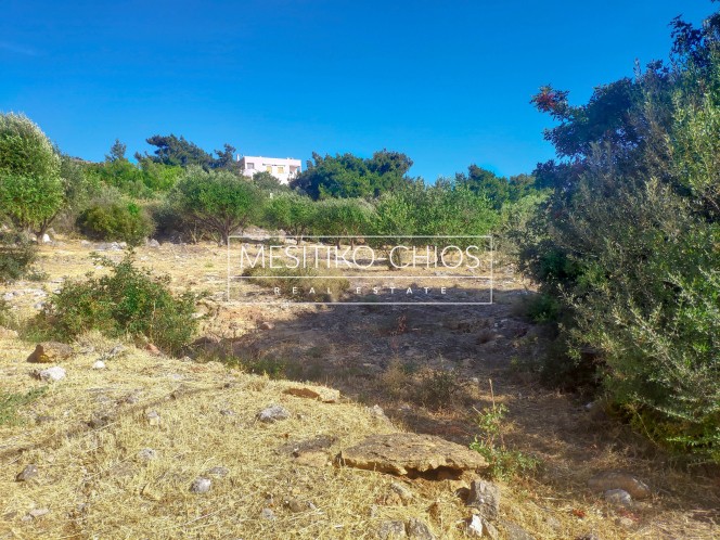 Οικόπεδο 2.036,44 τ.μ. προς πώληση, Πόλη Χίου