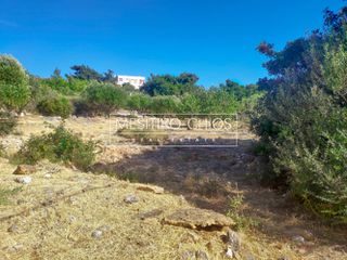 Οικόπεδο 2.036,44 τ.μ. προς πώληση, Πόλη Χίου-thumb-2