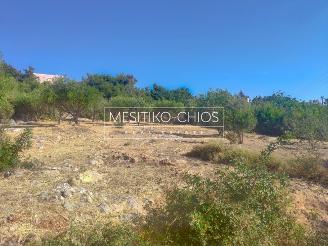 Οικόπεδο 2.036,44 τ.μ. προς πώληση, Πόλη Χίου