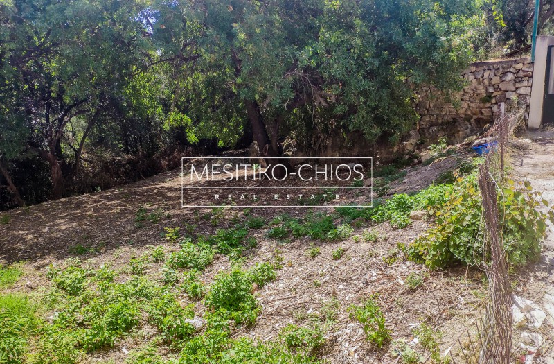 Οικόπεδο 282 τ.μ. προς πώληση, Πόλη Χίου
