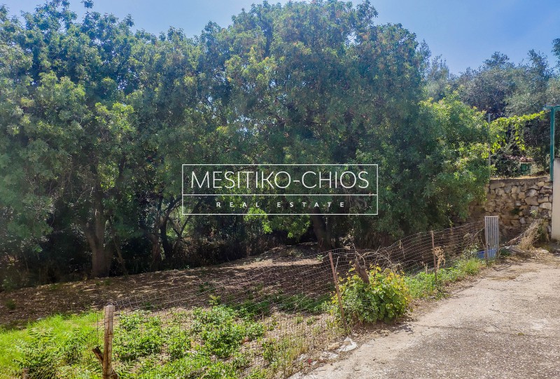 Οικόπεδο 282 τ.μ. προς πώληση, Πόλη Χίου