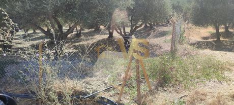 Οικόπεδο 792τ.μ. για πώληση-Ηράκλειο κρήτης » Άγιος βλάσιος