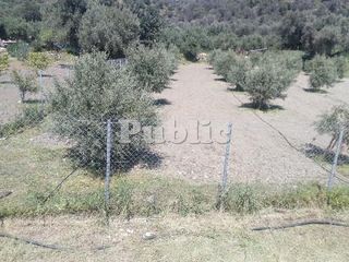 Οικόπεδο 2.215 τ.μ. για πώληση, Ν. Ρεθύμνου, Ρέθυμνο-thumb-12