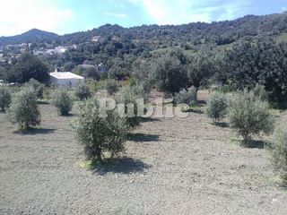 Οικόπεδο 2.215 τ.μ. για πώληση, Ν. Ρεθύμνου, Ρέθυμνο-thumb-13
