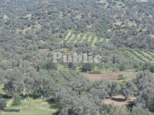 Οικόπεδο 9.180 τ.μ. πρός πώληση, Ν. Ρεθύμνου, Ρέθυμνο