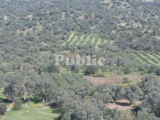 Οικόπεδο 9.180 τ.μ. για πώληση, Ν. Ρεθύμνου, Ρέθυμνο-thumb-3