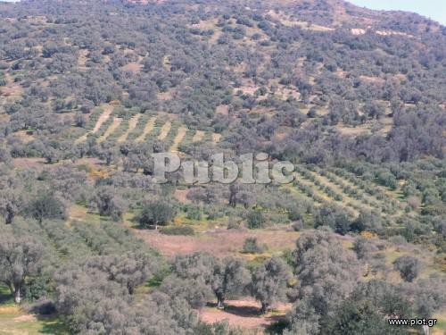 Οικόπεδο 9.180 τ.μ. πρός πώληση, Ν. Ρεθύμνου, Ρέθυμνο
