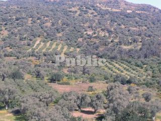 Οικόπεδο 9.180 τ.μ. για πώληση, Ν. Ρεθύμνου, Ρέθυμνο-thumb-4
