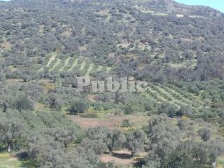 Οικόπεδο 9.180 τ.μ. για πώληση, Ν. Ρεθύμνου, Ρέθυμνο-thumb-5