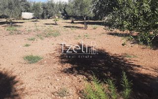 Οικόπεδο 4.500 τ.μ. για πώληση, Αχαΐα, Παραλία-thumb-10