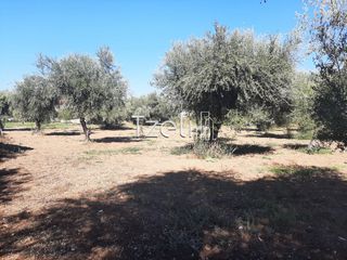 Οικόπεδο 4.500 τ.μ. για πώληση, Αχαΐα, Παραλία-thumb-1