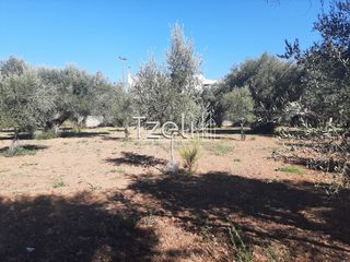 Οικόπεδο 4.500 τ.μ. για πώληση, Αχαΐα, Παραλία-thumb-23