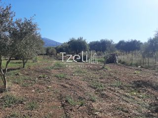 Οικόπεδο 4.500 τ.μ. για πώληση, Αχαΐα, Παραλία-thumb-9