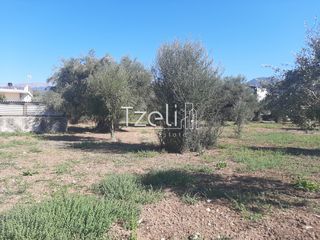 Οικόπεδο 4.500 τ.μ. για πώληση, Αχαΐα, Παραλία-thumb-11