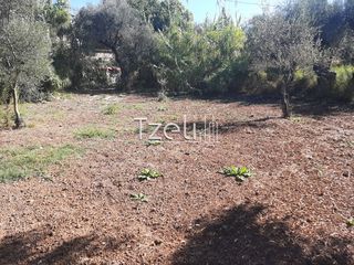 Οικόπεδο 4.500 τ.μ. για πώληση, Αχαΐα, Παραλία-thumb-8
