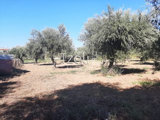 Οικόπεδο 4.500 τ.μ. για πώληση, Αχαΐα, Παραλία-thumb-5