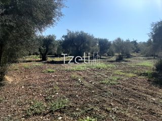 Οικόπεδο 4.500 τ.μ. για πώληση, Αχαΐα, Παραλία-thumb-4