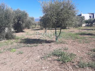 Οικόπεδο 4.500 τ.μ. για πώληση, Αχαΐα, Παραλία-thumb-16