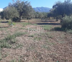 Οικόπεδο 4.500 τ.μ. για πώληση, Αχαΐα, Παραλία-thumb-19