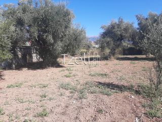 Οικόπεδο 4.500 τ.μ. για πώληση, Αχαΐα, Παραλία-thumb-2